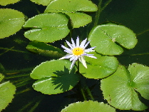 DSC00235